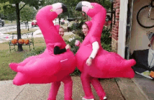 Flamingo Spanking GIF - Flamingo Spanking GIFs