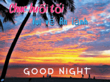 Good Night Night GIF - Good Night Night Evening GIFs