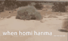 Homi Homihanma GIF - Homi Homihanma Pg GIFs