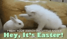 Hey Its Easter Happy Easter GIF - Hey Its Easter Happy Easter Bunny GIFs