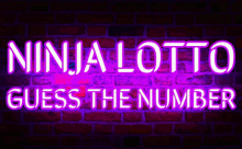 ninja ninja protocol lotto guess the number