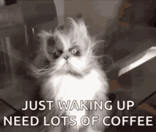 Need More GIF - Need More Coffee - Discover & Share GIFs