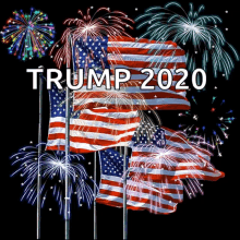 Trump Fireworks GIF - Trump Fireworks Sparkles GIFs