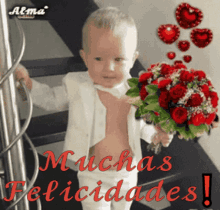 Muchas Felicidades Congratulations GIF - Muchas Felicidades Congratulations Roses GIFs