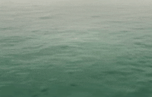 Water River GIF - Water River вода GIFs