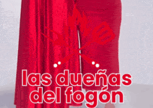 a woman in a red dress is standing in front of a poster that says las dueñas del fogon