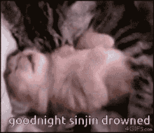 sinjin drowning