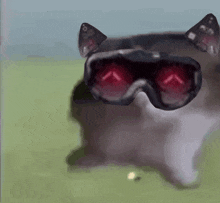 a close up of a cat wearing a pair of goggles with red eyes