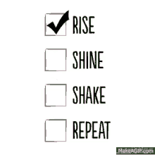 rise shine shake repeat check