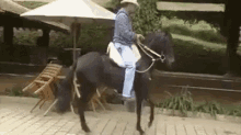 Tapdancing Horse GIF - Tapdancing Horse Marvin GIFs