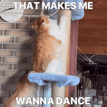 a cat on a scratching post with a caption that says that makes me wanna dance