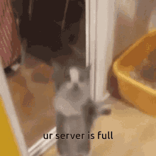Ur Server Is Full Roblox GIF - Ur Server Is Full Roblox Roblox Meme GIFs