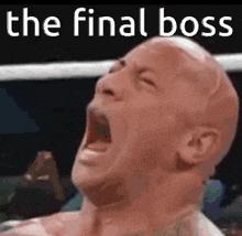 Rock Cry The Final Boss GIF