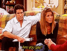 Ross Are You Gay GIF - Ross Are You Gay Friends GIFs