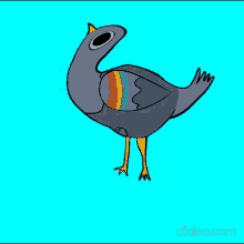 Pidge Pidgey GIF - Pidge Pidgey Pigeon GIFs