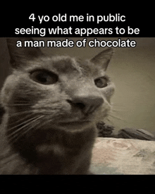 a cat with the caption 4 yo old me in public seeing what appears to be a man made of chocolate on it