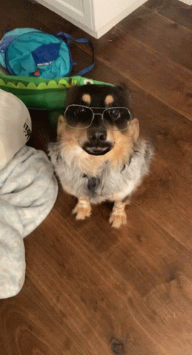 Clarence Dog GIF - Clarence Dog - Discover & Share GIFs