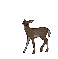 Bambi Deer Sticker - Bambi Deer Jump Stickers