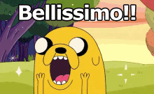 Bellissimo Bello Stupendo Magnifico Adventure Time Jake GIF - Beautiful Awesome Handosme GIFs