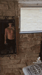 a shirtless man is taking a selfie in front of a mirror in a room .