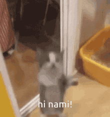 Hi Nami Nami GIF - Hi Nami Nami Namalie GIFs