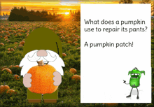 Gnome Pumpkin Patch GIF - Gnome Pumpkin Patch Halloween GIFs