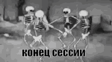скелет сессия экзамены ура свобода GIF - Skeleton Exams Sessija GIFs
