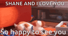 So Happy See You GIF - So Happy See You Dog GIFs
