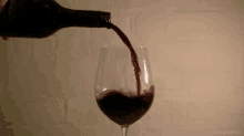 Wine Pour GIF - Wine Pour Red Wine GIFs