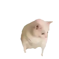 a pig is standing on its hind legs and looking down