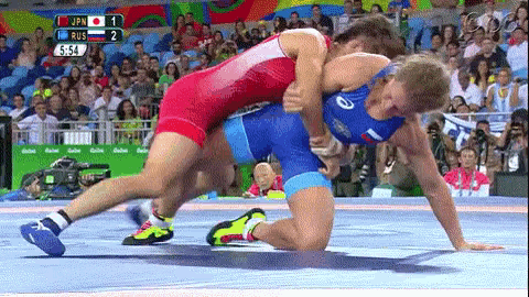 レスリング　gif 