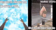 what liberals think they look like driving a prius and what they actually look like volunold lifestyle