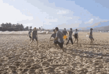 Beach Seaside GIF - Beach Seaside Playing GIFs
