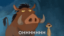 a cartoon of a warthog and a meerkat from the lion king standing next to each other .