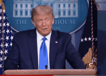 You There GIF - You There Trump GIFs