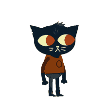 shapes nitw