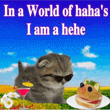 a picture of a kitten wearing sunglasses with the words in a world of haha 's i am a hehe on it