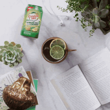 Ginger Ale Canada Dry GIF - Ginger Ale Canada Dry Reading GIFs