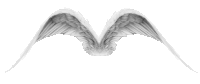 Wings Vector Sticker - Wings Vector Angel Stickers