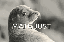 Deal With It Seal With It GIF