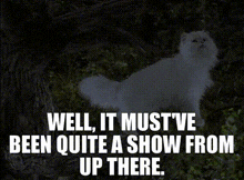 Stuart Little Snowbell GIF - Stuart Little Snowbell Well It Mustve Been Quite A Show From Up There GIFs