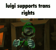 Luigi Trans Rights GIF - Luigi Trans Rights GIFs