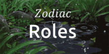 zodiac signs zodiac star signs discord banner