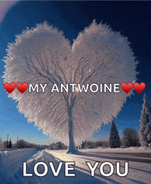 a picture of a heart shaped tree with the words " my antwoine love you " below it