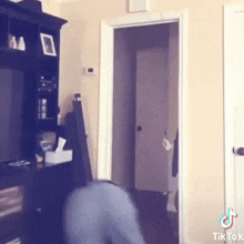 a person is standing in a living room next to a door and a television .