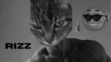 Rizzful Gigachad GIF - Rizzful Gigachad Micha Cat GIFs