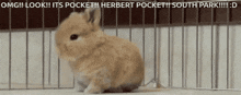 Herbert Pocket South Park GIF - Herbert Pocket Pocket South Park GIFs