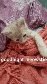 Goodnight Cat GIF - Goodnight Cat Meowstie GIFs