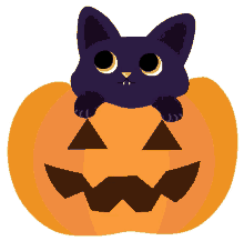 cat wink cat pumpkin