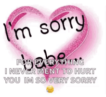 im sorry babe sorry im so very sorry never meant to hurt you heart